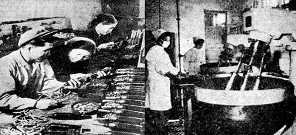 ▲ (왼쪽) 라진철제일용품공장의 전기이발기 생산 (1966년 5월 24일) (오른쪽) 라진물고기가공공장의 생산설비(노동신문 1970년 10월 24일)