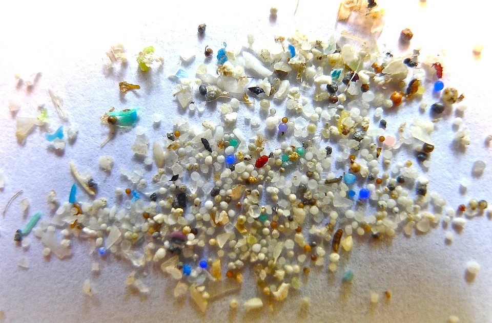 ▲ Microplastic, Oregon State University ⓒThe Ocean Foundation