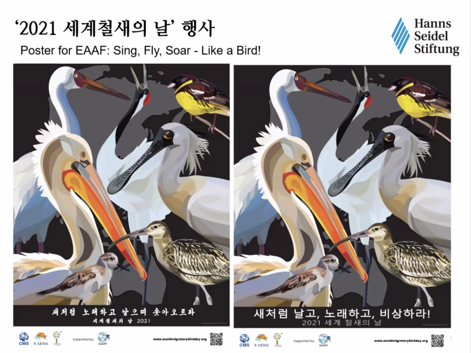 ▲ '2021 세계철새의 날'행사 북한과 남한의 포스터. 화면갈무리